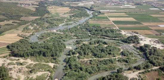 Fati i zi i Drinit të Bardhë