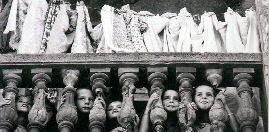 Shkencë. Politikë. Analfabetizëm