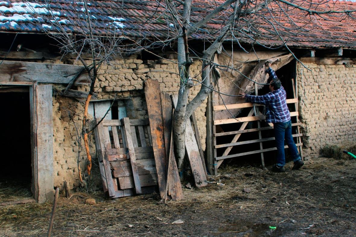 Milionat e paefektshme