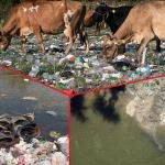 Drini i Bardhë, vendgrumbullim i “lëvizshëm” mbeturinash