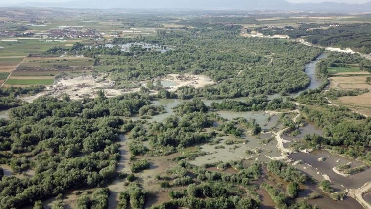 Fati i zi i Drinit të Bardhë