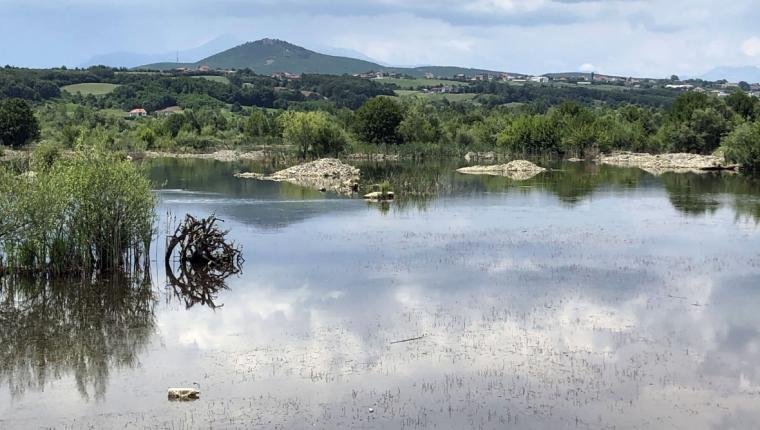 Degradimi i Drinit të Bardhë