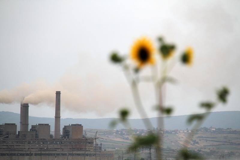 2017: Viti i Kolapsit Energjetik