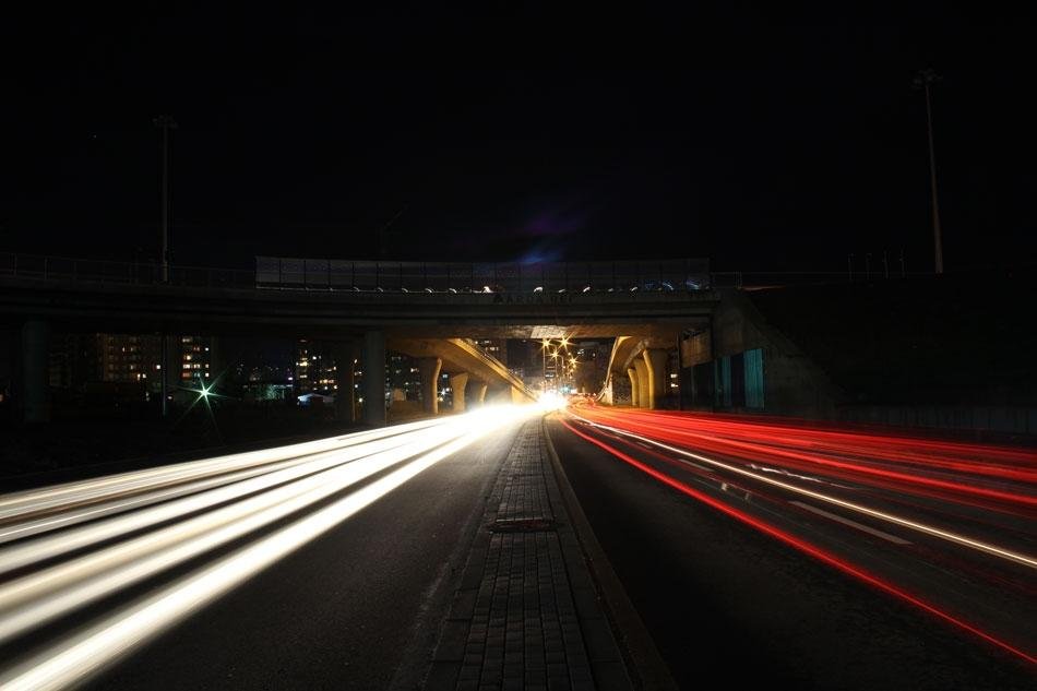 Nëpër gjurmët e migrimit