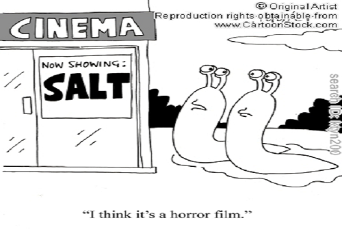 Mujota e “kripë” edhe një tender