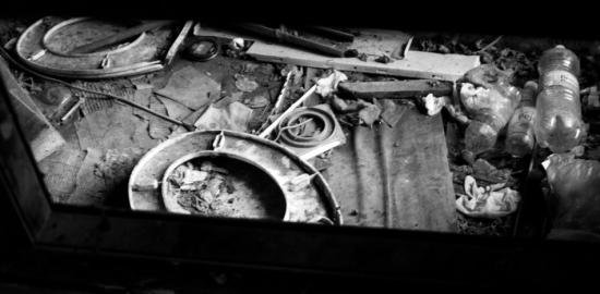 Të lindësh në kaos